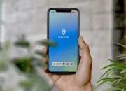 Bittime Luncurkan Program Staking Palapa dan Kampanye Airdrop 250 Juta Token Pepe