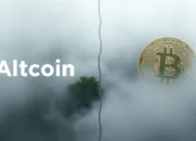 Altcoin Season vs Bitcoin Season: Kenali Pola dan Tandanya Sebelum Terlambat!